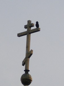 P4120001