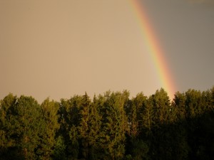 P5240009