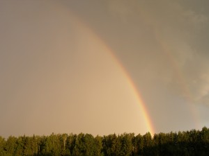 P5240013
