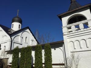 IMG 10781