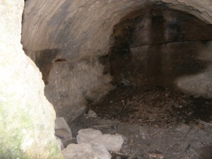 P1010217 