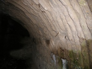 P1010220 