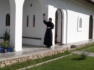P1010244