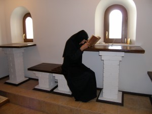 P1010247