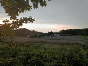 IMG 20260701 2041481