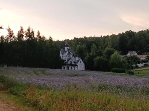 IMG 20260701 2044202