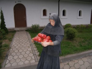 P7160011