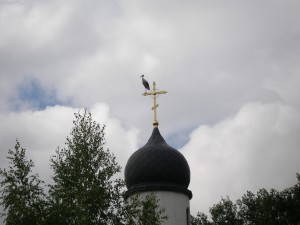 P7240020