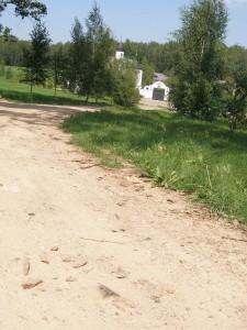 P7290027