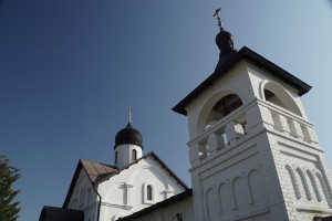DSC03679