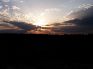 P4210119