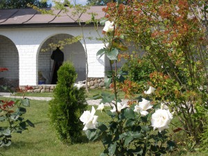 P1010047