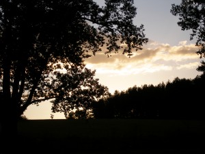 P1010214