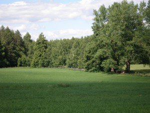 P1010377 
