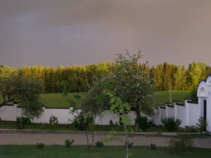 P5190024 