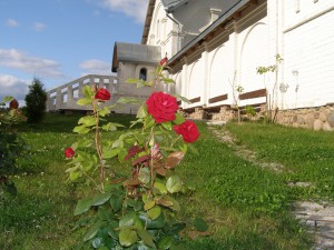 P8300061 