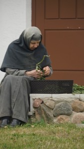 DSC07604