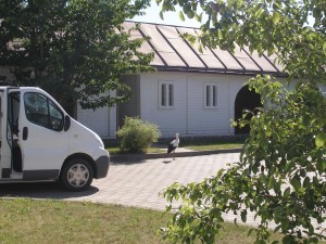 P1010331