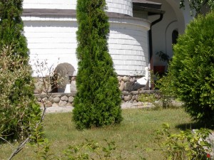 P1010367