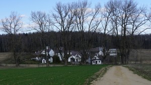 DSC07455