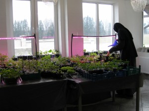 P1010174
