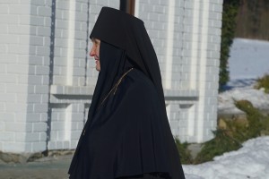 DSC05981