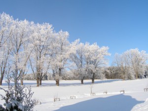 050