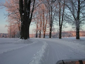 DSCN0976