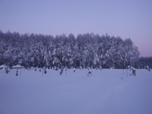 DSCN1046