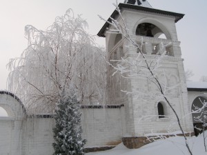 P1010330