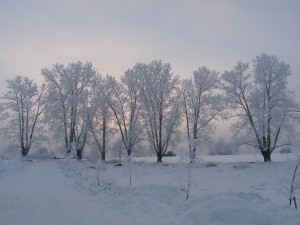 P1010332