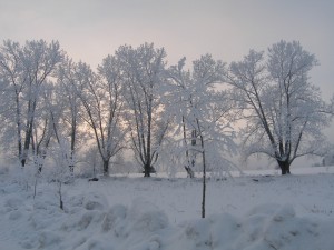 P1010338
