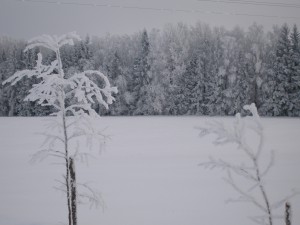 P1010339