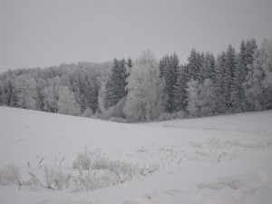 P1010340