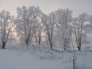 P1010345
