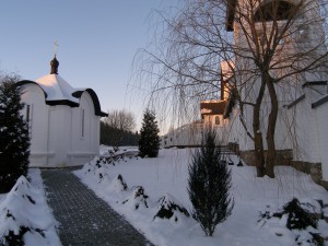 P1010364