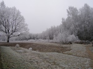 043
