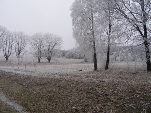 053