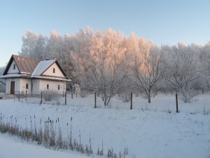 P1230029