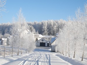 P1230061