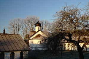DSC04531