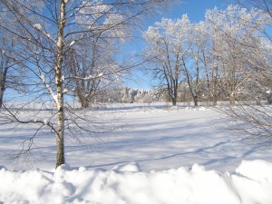 P1190002