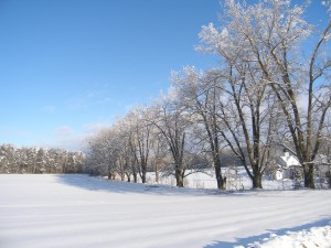 P1190009