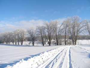 P1190014